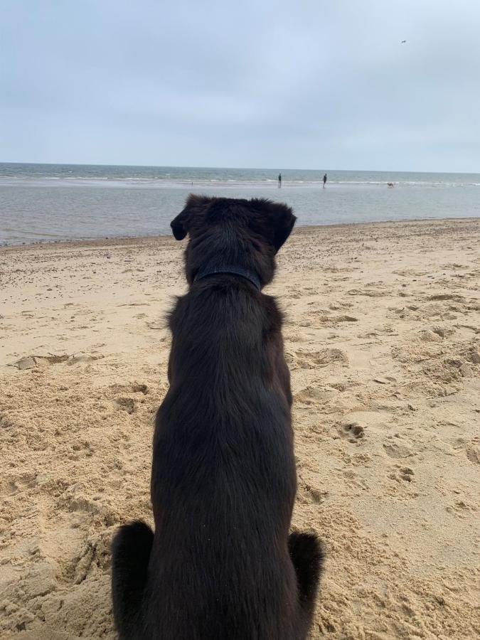Norfolk Caravan Staycation Pet Friendly Belton with Browston Екстериор снимка